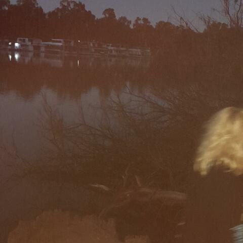drown in the river together