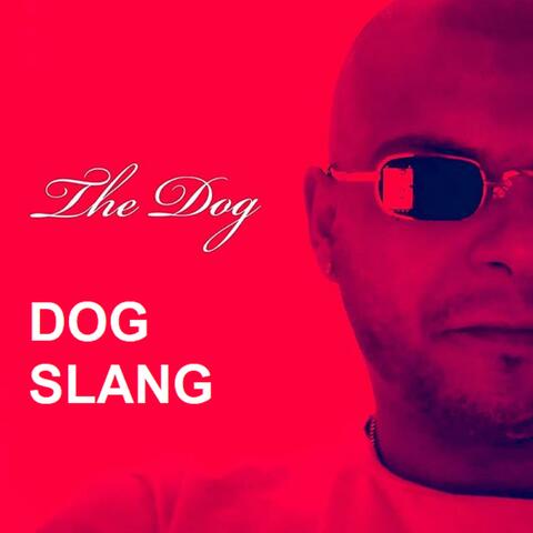 Dog slang