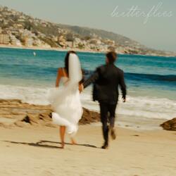 butterflies