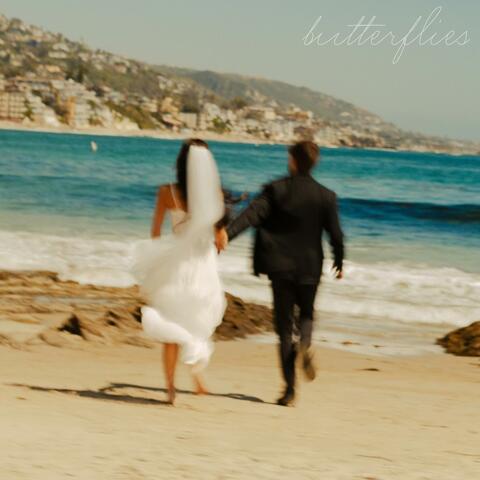 butterflies