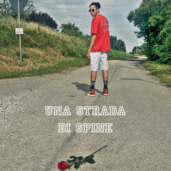 Una strada di spine