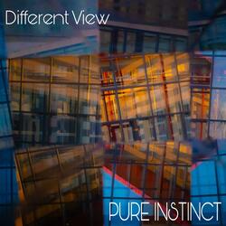 Different View