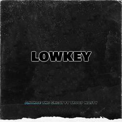 Lowkey (feat. Troop Nasty)