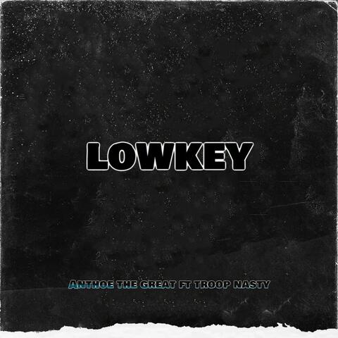 Lowkey (feat. Troop Nasty)