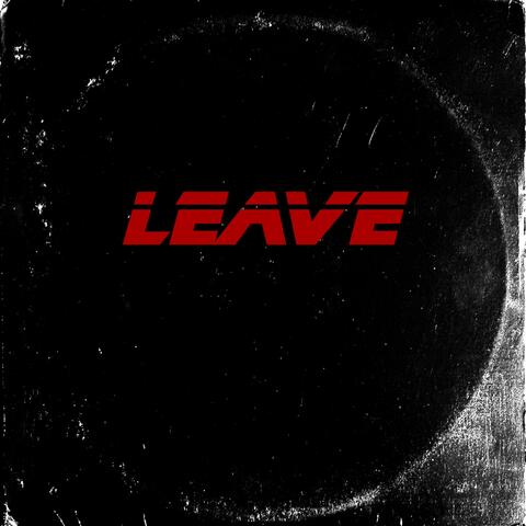 Leave (feat. P4k Baby Stone Gorrilas)