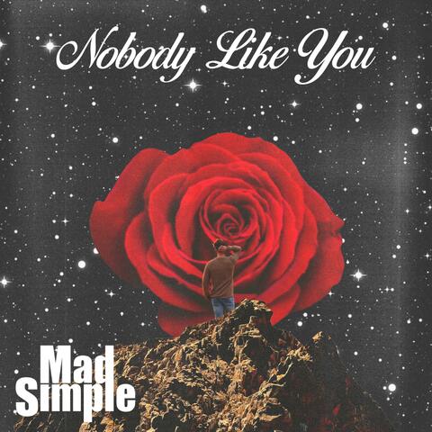 Nobody Like You