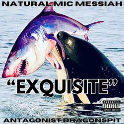 EXQUISITE