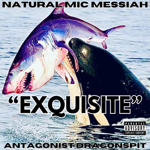 EXQUISITE (Radio Edit)