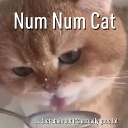 Num Num Cat