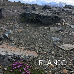 Flanjo