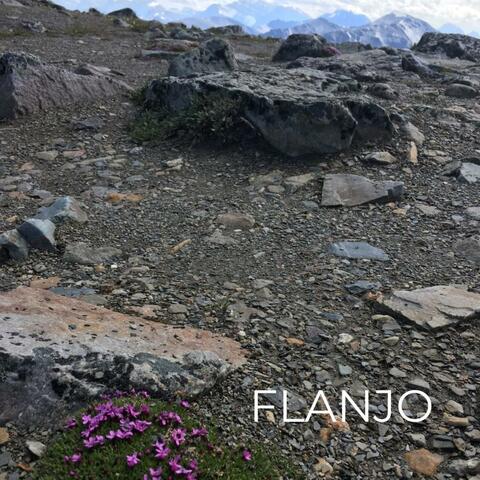 Flanjo