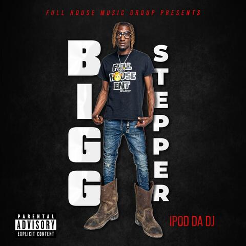 BiGG STEPPER