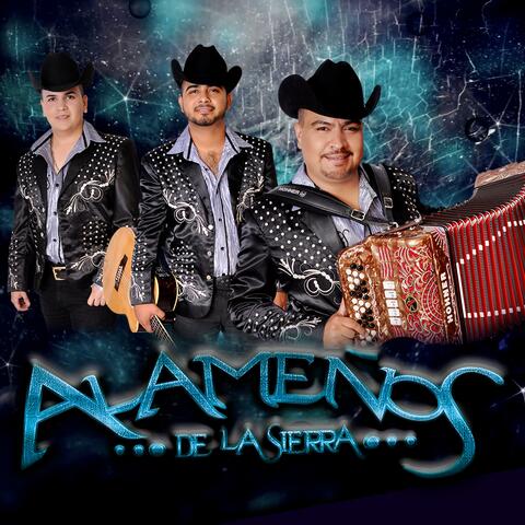 Exitos en Vivo