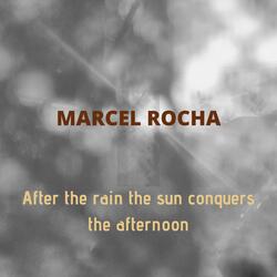 After the rain the sun conquers the afternoon