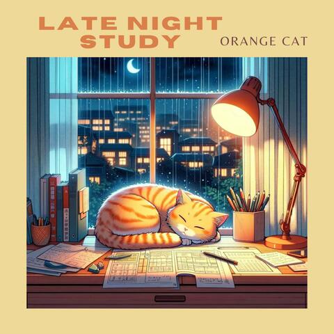 Late Night Study
