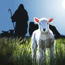 Psalm 23 (feat. Brian Campbell)
