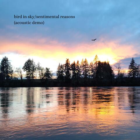 Bird In Sky/Sentimental Reasons (Acoustic Demo)
