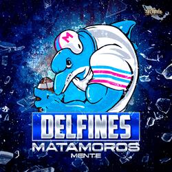 Delfines Matamoros