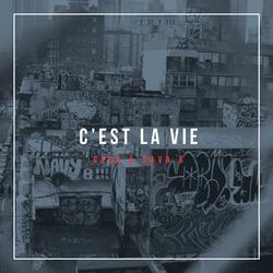 C'est la vie (feat. Sava G)