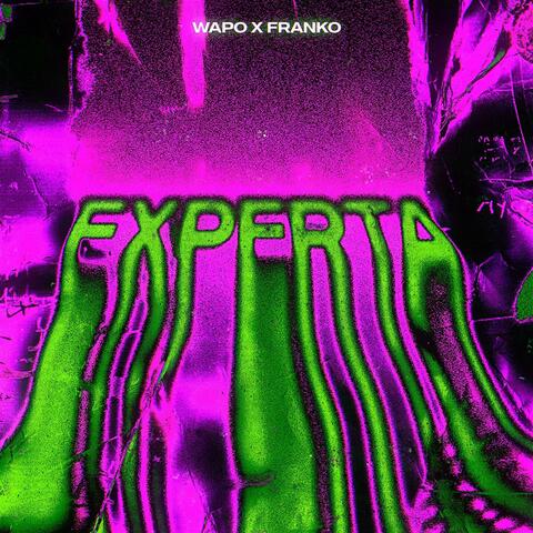 EXPERTA