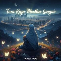 Tera Kiya Meetha Laagai