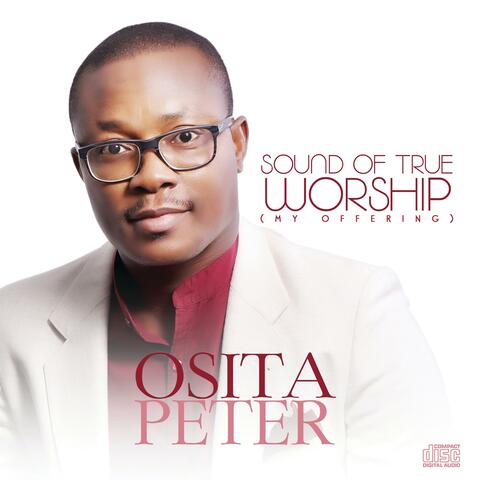 Sound of True Worship (My Offering)
