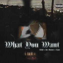What You Want (feat. Joe Maynor & Azjah)