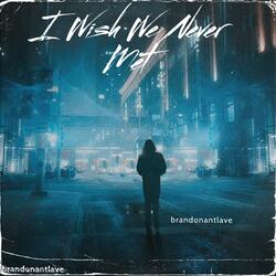 I Wish We Never Met (feat. Louise Sheene Official)