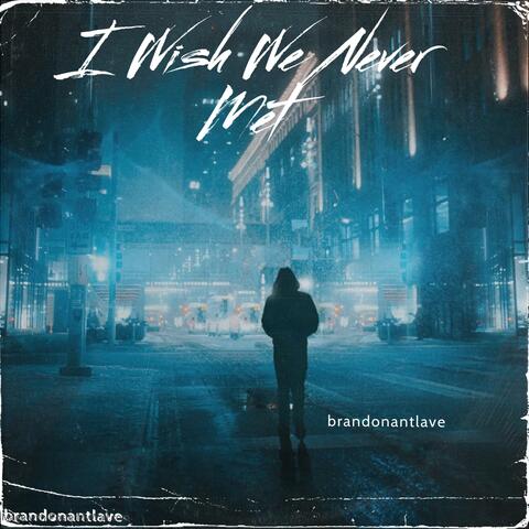 I Wish We Never Met (feat. Louise Sheene Official)