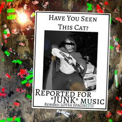 Have You Seen This Cat?