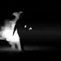 Cuerpo D Mente - Lagrimas