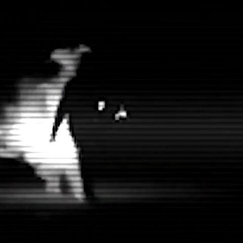 Cuerpo D Mente - Lagrimas