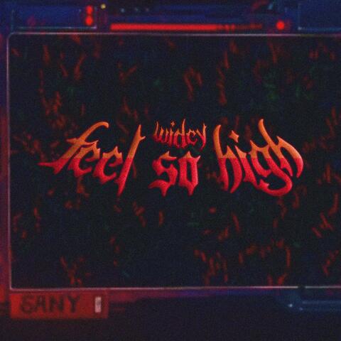 Feel So High