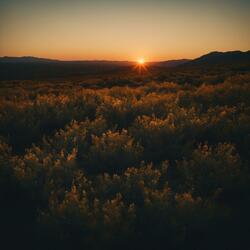 Sundown on West