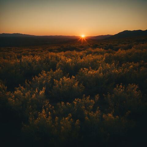 Sundown on West