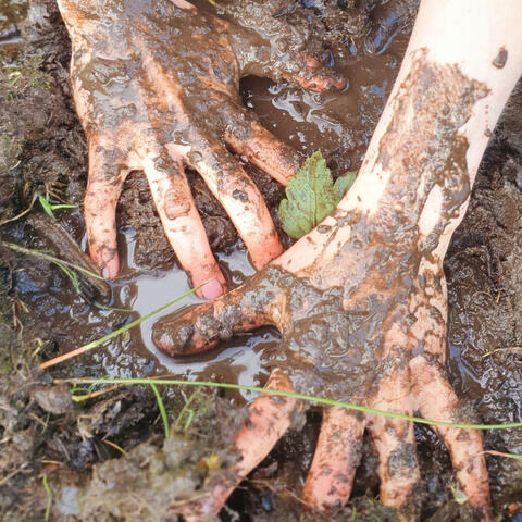 Dirt