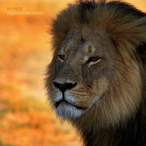 No Pride