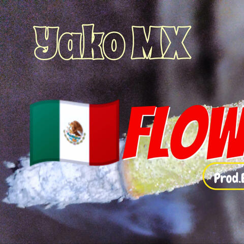 FlowMexaa