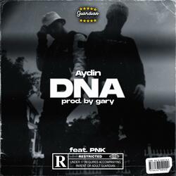 DNA (feat. PNK)