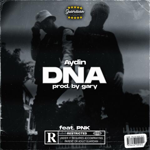 DNA (feat. PNK)