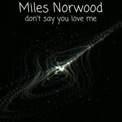 don't say you love me