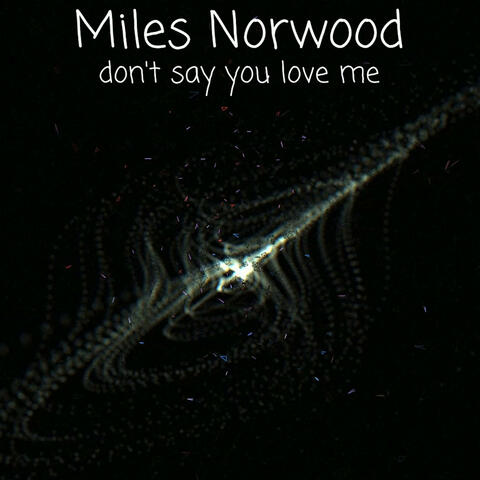 don't say you love me