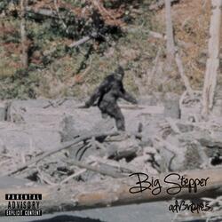 BIG STEPPER