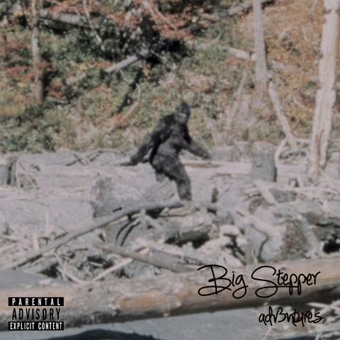 BIG STEPPER