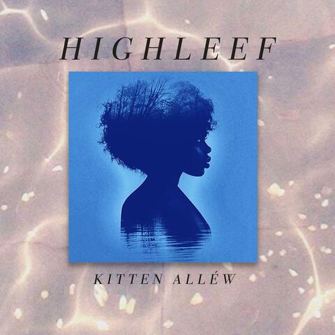 KiTTen AllÉw