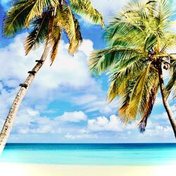 beachouse