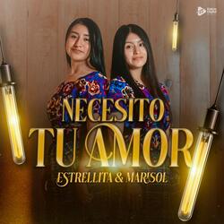 Necesito Tu Amor