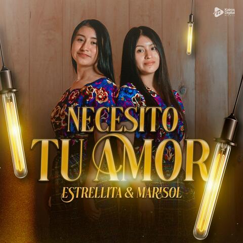 Necesito Tu Amor