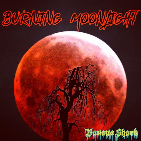 Burning Moonlight