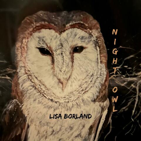 Night Owl